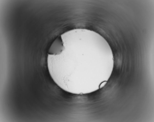 X0000095910619200802081054