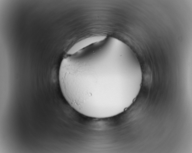 X0000095910620200802081054