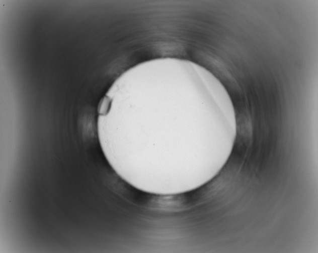 X0000095910622200802081054