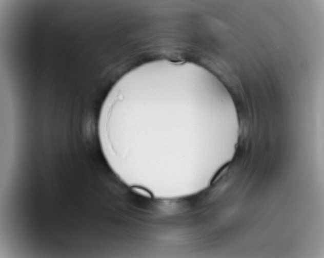 X0000095910623200802081054