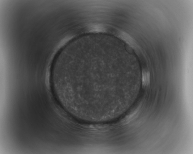 X0000095910627200802081054