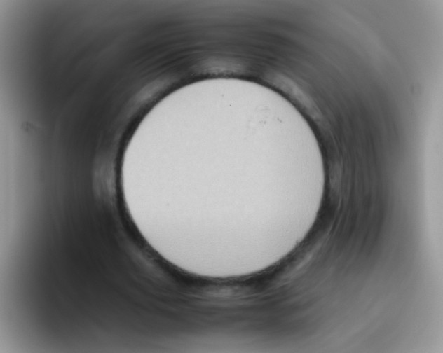 X0000095910629200802081054