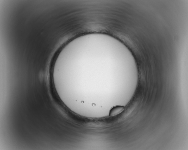 X0000095910630200802081054