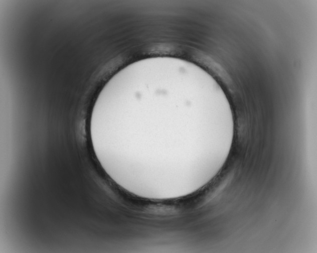 X0000095910633200802081054