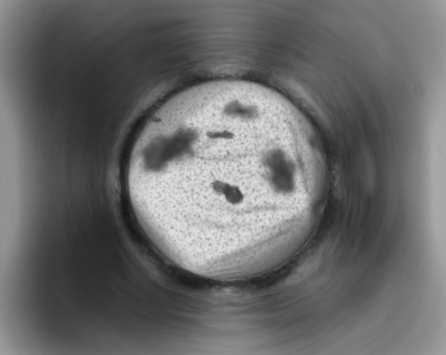 X0000095910634200802081054