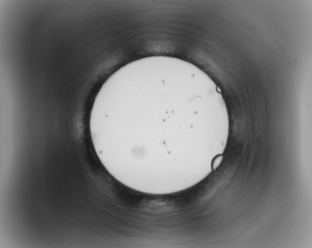 X0000095910635200802081054