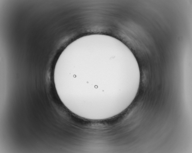 X0000095910636200802081054