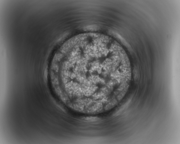 X0000095910637200802081054