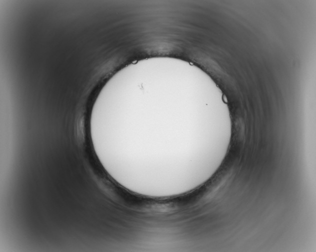 X0000095910638200802081054