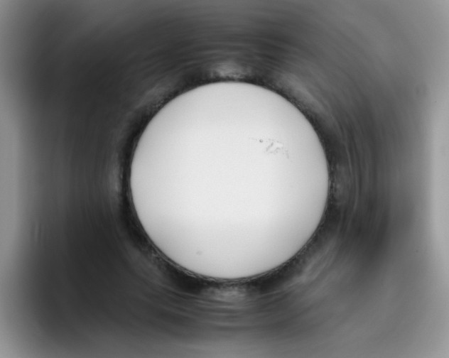 X0000095910639200802081054