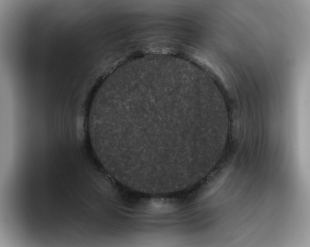 X0000095910641200802081054