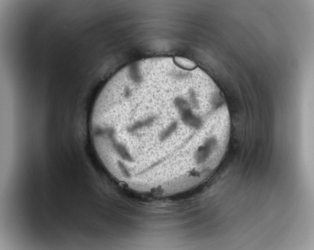 X0000095910642200802081054