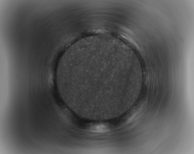 X0000095910643200802081054