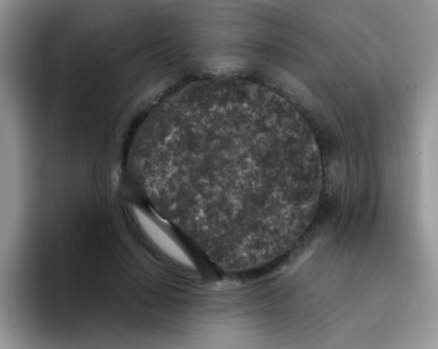 X0000095910644200802081054