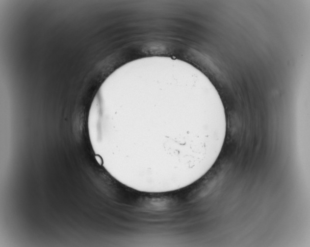 X0000095910645200802081054