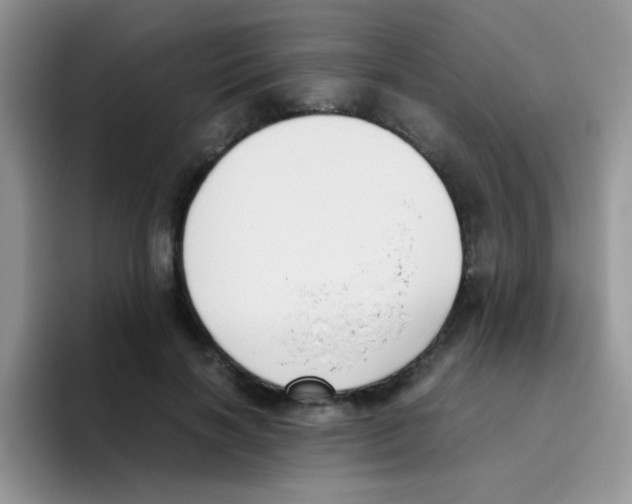 X0000095910646200802081054