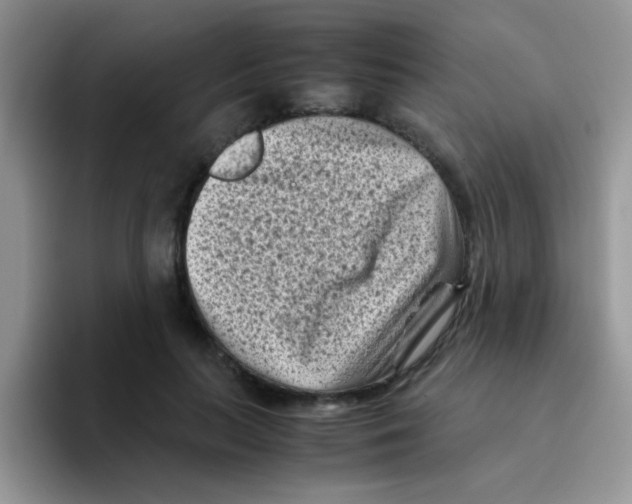 X0000095910647200802081054