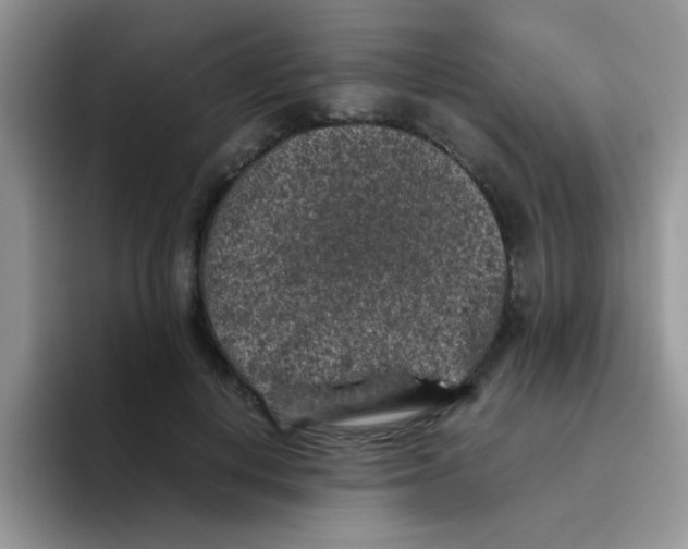 X0000095910648200802081054