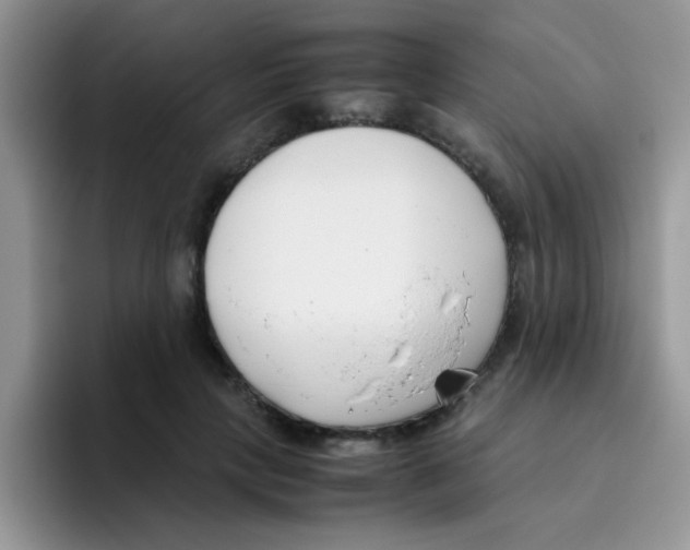 X0000095910649200802081054