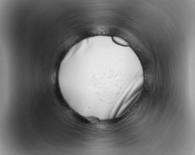 X0000095910652200802081054