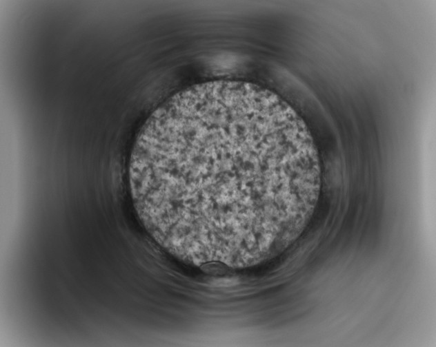 X0000095910653200802081054