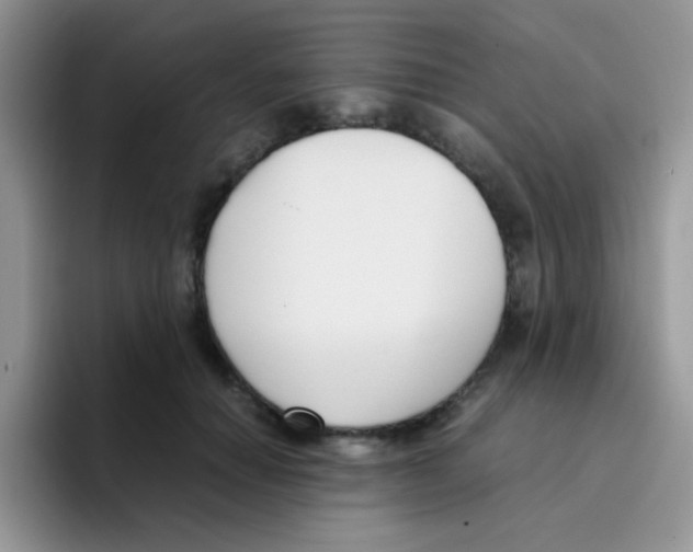 X0000095910654200802081054