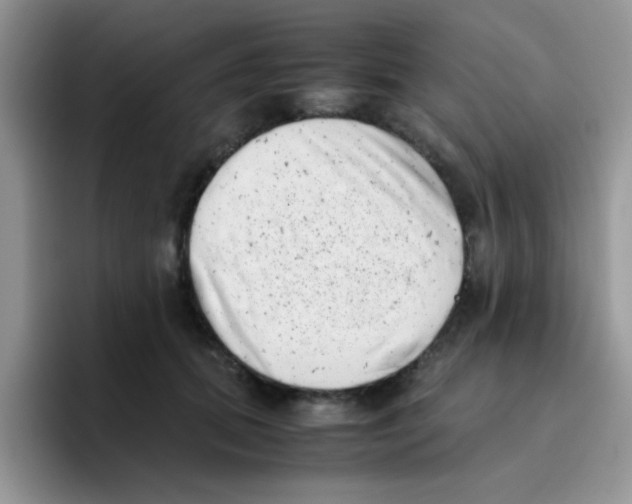 X0000095910655200802081054