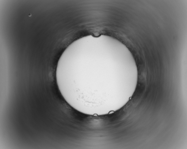 X0000095910658200802081054