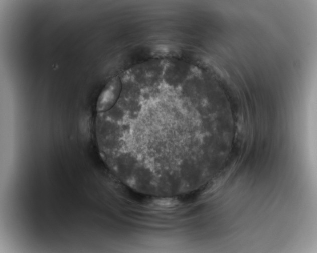 X0000095910659200802081054