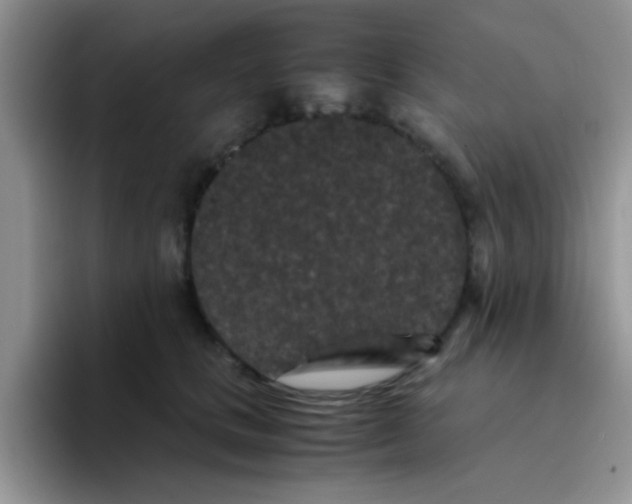 X0000095910661200802081054