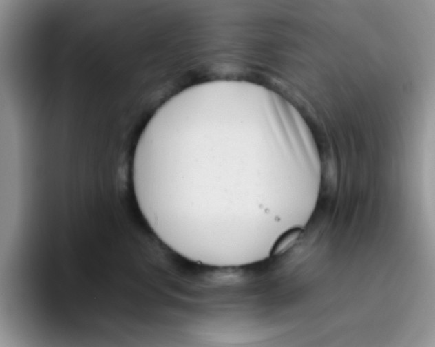 X0000095910668200802081054