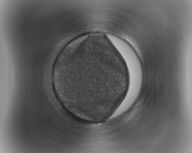 X0000095910673200802081053