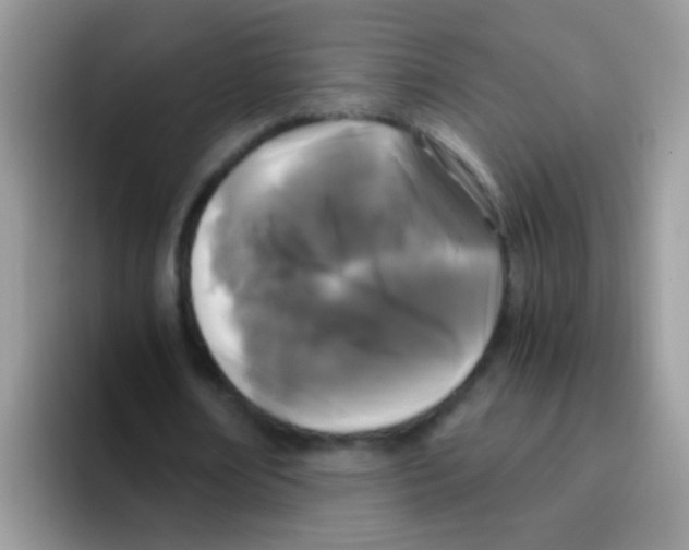 X0000095910674200802081053