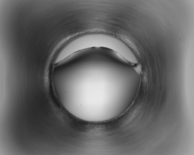 X0000095910676200802081053