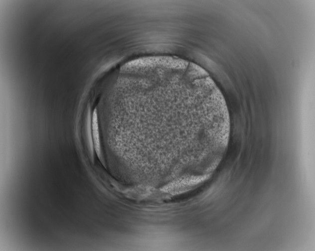 X0000095910677200802081053