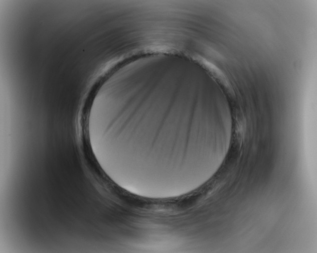 X0000095910678200802081053