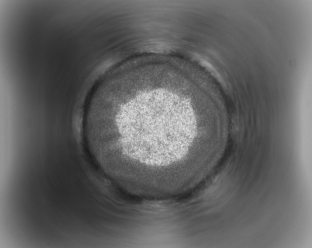 X0000095910679200802081053