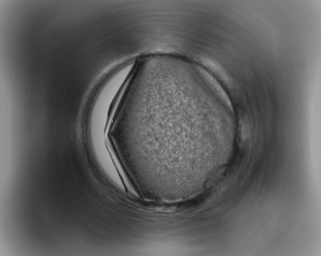 X0000095910680200802081053