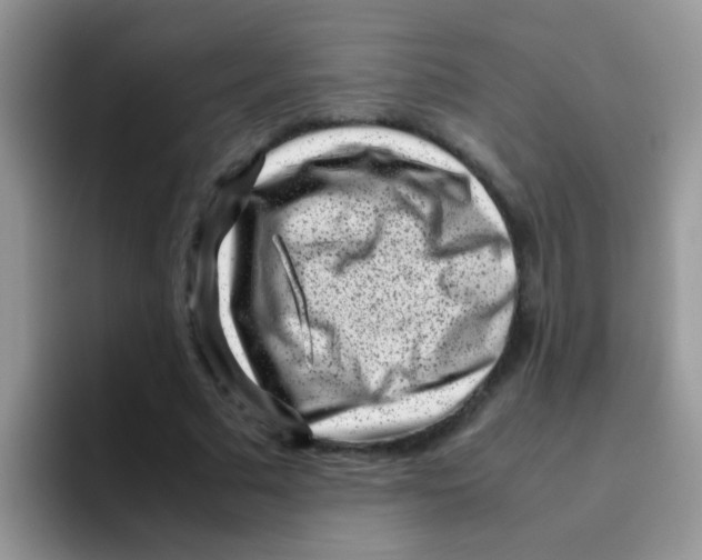 X0000095910681200802081053