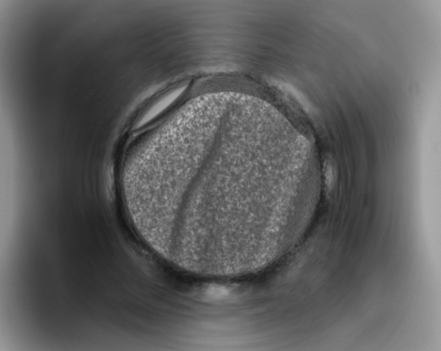 X0000095910684200802081053