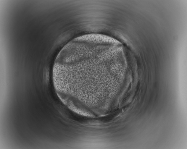 X0000095910685200802081053