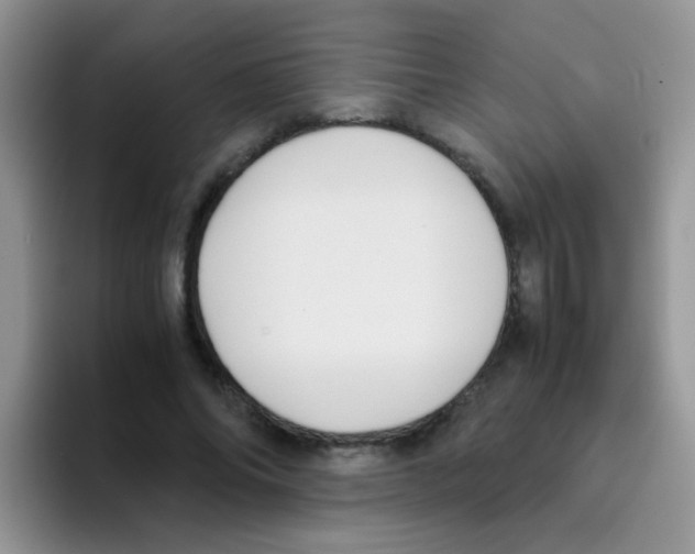 X0000095910686200802081053