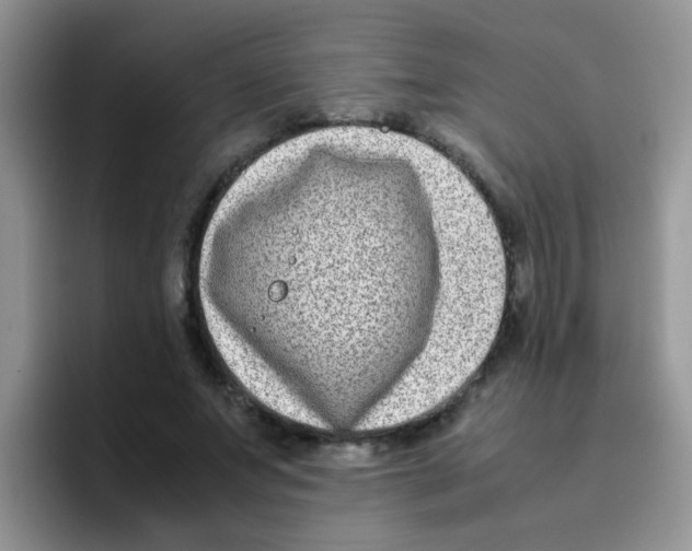 X0000095910687200802081053