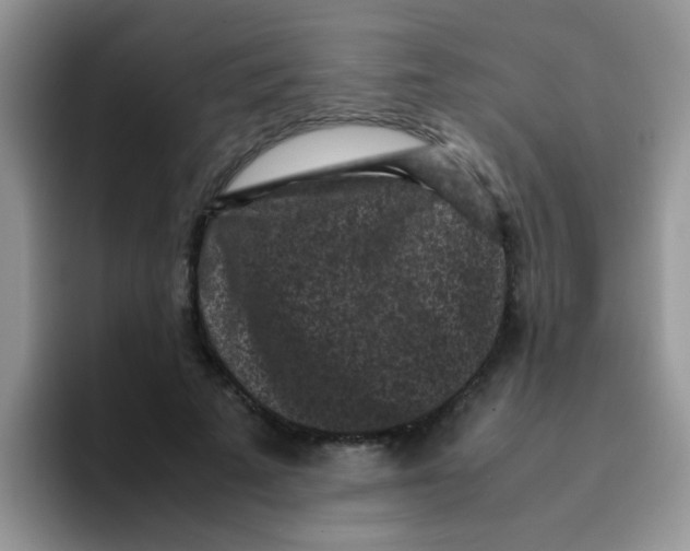 X0000095910689200802081053