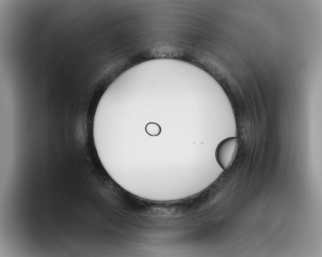 X0000095910690200802081053