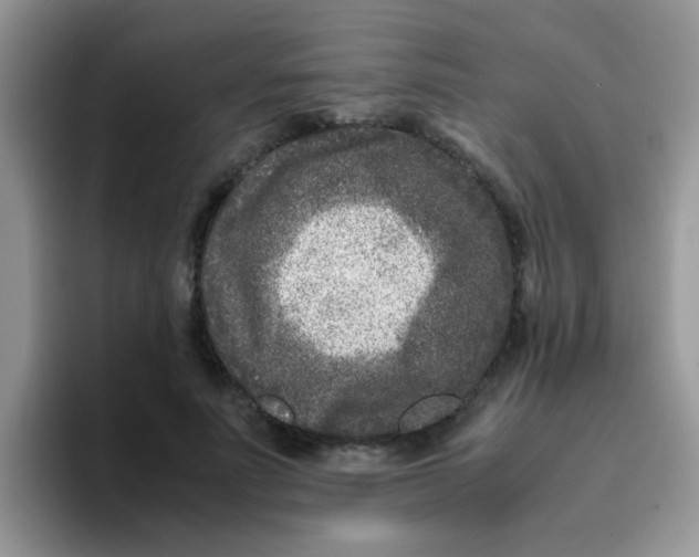 X0000095910691200802081053