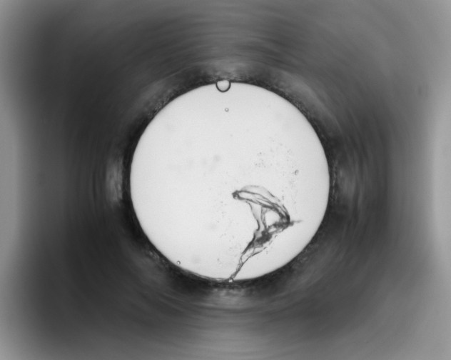 X0000095910694200802081053