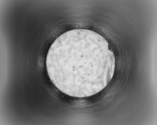 X0000095910695200802081053