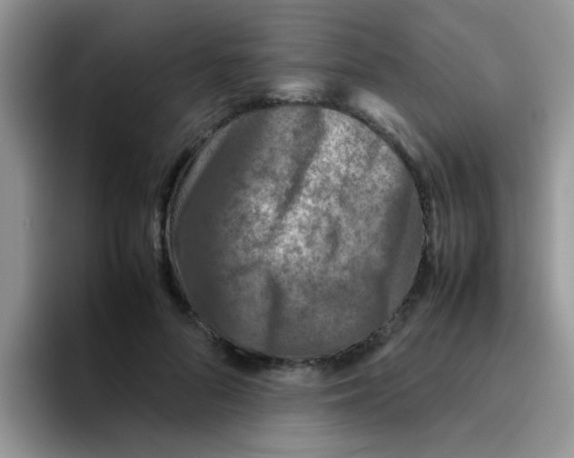 X0000095910696200802081053