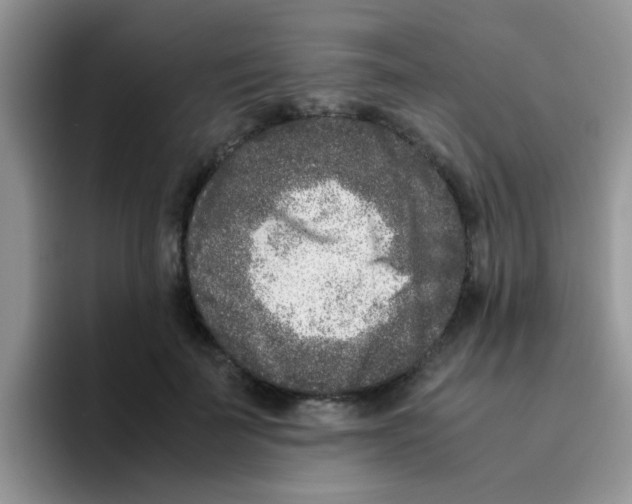 X0000095910699200802081053